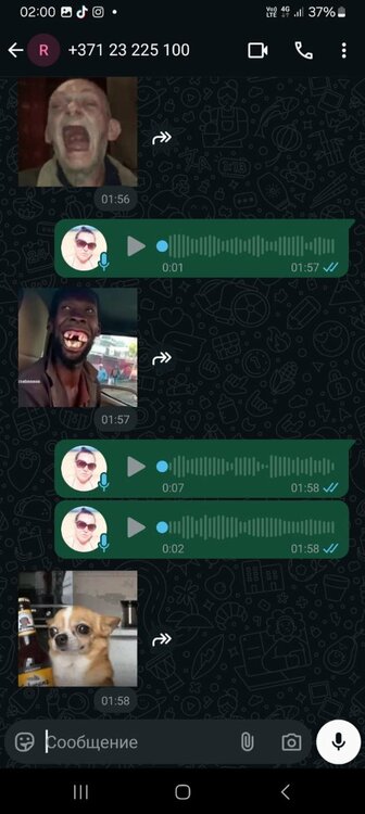 WhatsApp Image 2025-08-28 at 01.00.50.jpeg