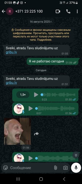 WhatsApp Image 2025-08-28 at 01.00.50 (1).jpeg